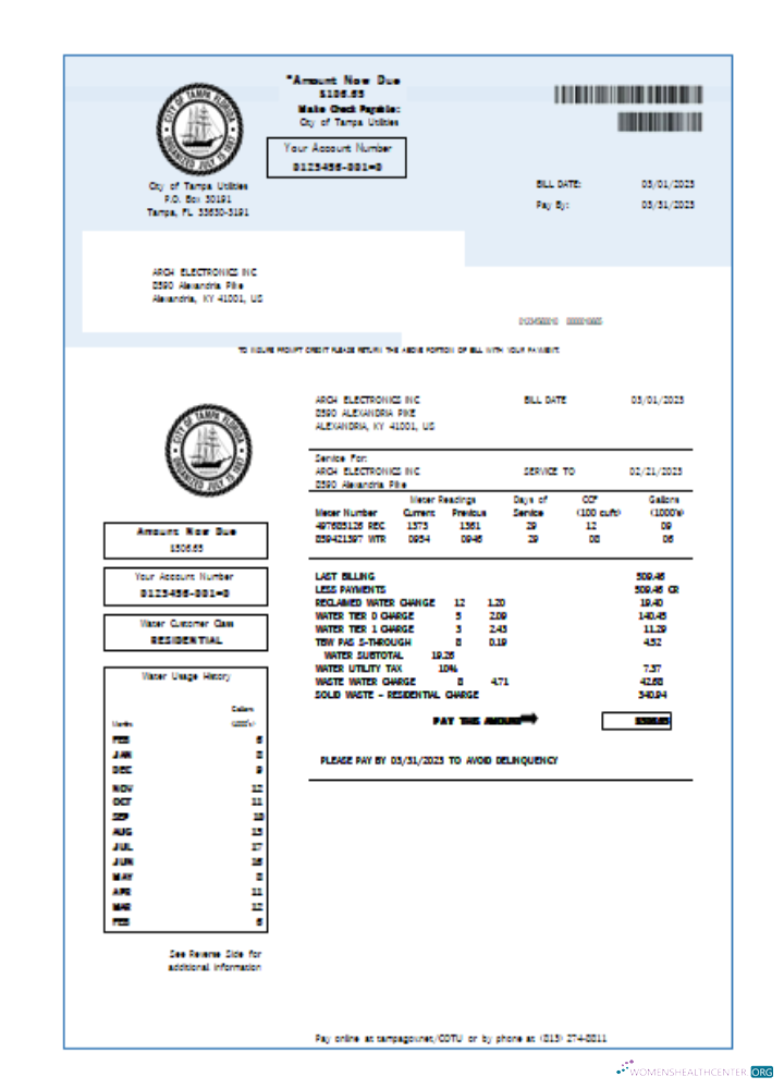 Download Florida water utility business bill, SCR Photoshop template